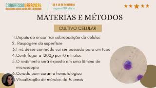 Cultivo celular e produção de antígeno de Ehrlichia canis [upl. by Clare]