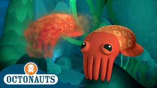 ​Octonauts  The Crafty Crafty Cuttlefish  Full Episode 48  Cartoons for Kids [upl. by Beverle215]