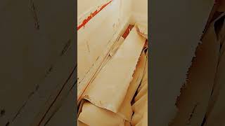 Stripping wall paper  Work smarter [upl. by Oicnecserc]