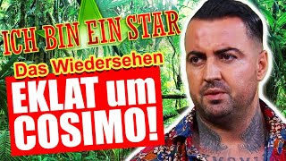 Dschungelcamp 2023 DRAMA um COSIMO beim Wiedersehen Gewinnspiel [upl. by Inaleon782]