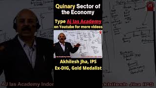 What is Quinary Sector of the Economy [upl. by Naldo]