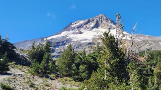 Timberline Trail [upl. by Alyahs]