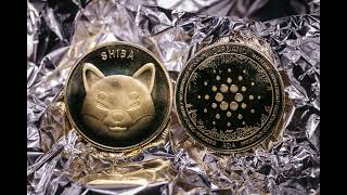 Vision on Shib dropping zeros amp Bad Idea Coin Prophecy come to past September word amp Fed 81123 [upl. by Nednal]