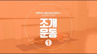 힙업 및 골반고관절 교정에 좋은 조개 운동 1 [upl. by Jemy939]