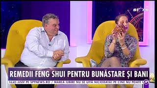 Remedii feng shui pentru bani [upl. by Sydney]