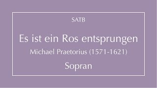 Es ist ein Ros entsprungen  Praetorius  Sopran [upl. by Musetta879]