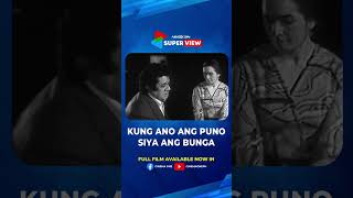 Kung Ano Ang Puno Siya Ang Bunga  Full Movie highlight  Cinemaone [upl. by Anawk]