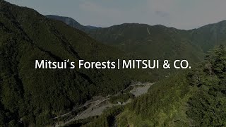 SustainabilityMitsui’s Forests｜MITSUI amp CO [upl. by Plafker51]