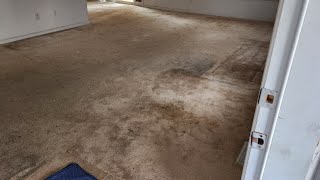 Carpet Cleaning Pet Urine and Heavy soil out of this empty home [upl. by Rico]