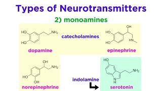 Neurotransmitters Type Structure and Function [upl. by Haven]