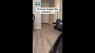 I just had to drop the sweetest service dog slowmo ever 🥹 Cardiacalertdog seizurealertdog [upl. by Qulllon]