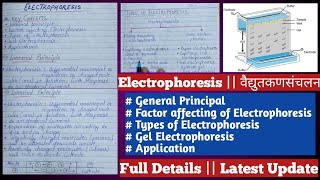 electrophoresis  gel electrophoresis  electrophoresis in Hindi [upl. by Jarietta]