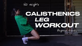 CALISTHENICS LEG WORKOUT  NO WEIGHTS beginner friendly [upl. by Mendie]