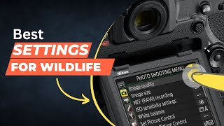 quotMastering Nikon D850 Custom Menu Settings for capturing wildlife photos A StepbyStep Guidequot [upl. by Ecire539]