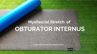 Myofascial stretch of the Obturator Internus [upl. by Eneluj1]