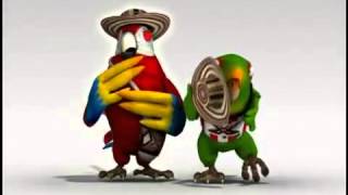 Loros Cantando Olvidala YouTube [upl. by Cupo773]