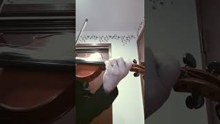 Mozart Violin Concerto No 1 KV 207 III Presto [upl. by Drewett]