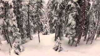 Copper Mountain  Tree Skiing [upl. by Terrab475]