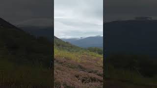 In the Majestic Cairngorm Mountains [upl. by Moya]