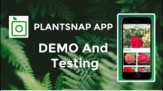 PlantSnap Plant Identification App Demo And Testing [upl. by Aynat]