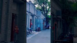 Hutong Adventure—Chuanban Hutong [upl. by Spearing]