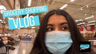 VLOG  Grocery shopping with me [upl. by Werbel]