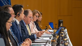 WIPO Member States Adopt New Treaty on IP Genetic Resources and Associated Traditional Knowledge [upl. by Aikim]