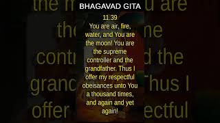 Bhagavad Gita 1139 [upl. by Schick]