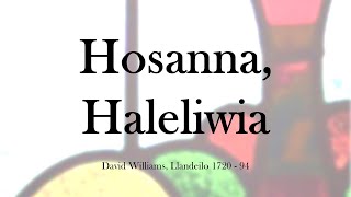 Hosanna Haleliwia  Carolaur Nadolig [upl. by Nielson]