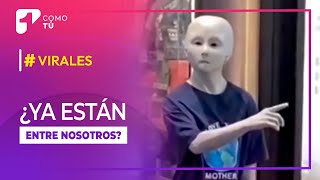 👽 Un pequeño “extraterrestre” causa furor en redes 👽  Canal 1 [upl. by Nalani]