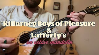 Gold Tone OM800 Octave Mandolin Reels Killarney Boys of Pleasure amp Lafferty’s [upl. by Kampmann]