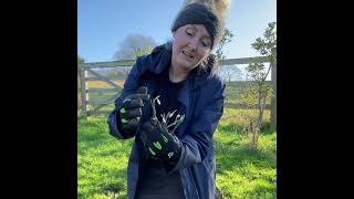 Planting Snowdrops intheGreen with Becky [upl. by Haiel799]