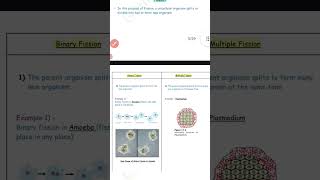 Asexual reproduction fission and types of fission binary fission and multiple fission shorts 👍 [upl. by Eilrak]