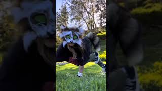 therian tiktok compilation 🐾🌿 Special 1 tiktokeuse [upl. by Hugon]