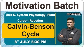 Motivation Batch I CSIR NET June24  Unit 6 I Calvin Benson Cycle I Ashish Kr Dwivedi [upl. by Esined453]