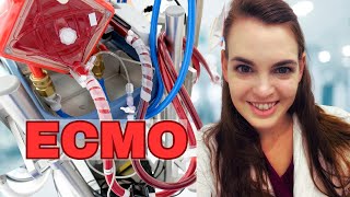 ICU Doctor explains ECMO  Life Support [upl. by Entruoc999]