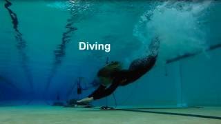 Underwater sounds of swimmers divers surfers and kayakers [upl. by Luapnhoj919]