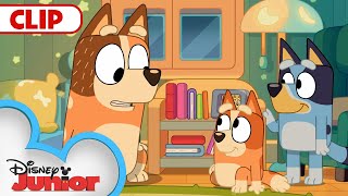 Bluey Season 3 Episode 1 quotBedroomquot Episode Clip  disneyjr  BlueyOfficialChannel [upl. by Pauli]