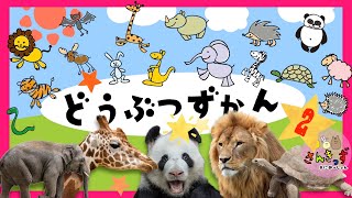 【赤ちゃん・子供向け 動物アニメ 】どうぶつずかんpart2 で 動物を探そう☆ライオン キリン ぞう など人気の動物が16種類登場するよ【動物図鑑】 [upl. by Merv153]