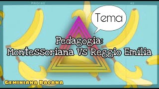 PEDAGOGIA Montessoriana Vs Reggio Emília  Parobé  RS  BRA [upl. by Udelle649]