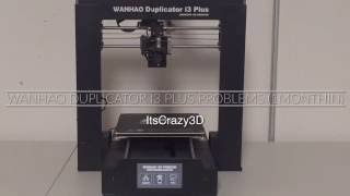 WANHAO Duplicator i3 Plus Problems 1MonthIn [upl. by Lyrad688]