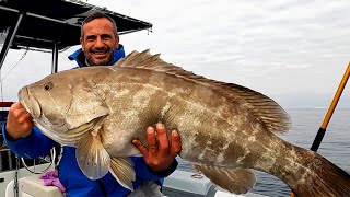 CERNIA 165 kg A SLOW Il miglior modo di testare la mia Seaquake Tokyo [upl. by Juno]