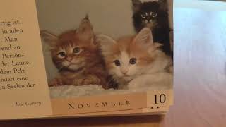 Das ist der beste Katzenkalender [upl. by Yablon]