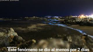 Bahía Inglesa bioluminiscente [upl. by Idnac]