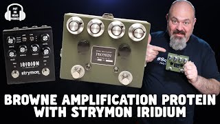 BROWNE AMPLIFICATION PROTEIN amp STRYMON IRIDIUM [upl. by Ferguson]