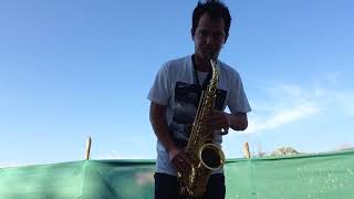 Yanagisawa Alto Sax 901  luisojazz [upl. by Hershell]