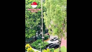 Foodpanda rider vs condo security guard fighting at Bukit Timah condo in Singapore [upl. by Esineg]