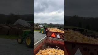 Let’s see if this is going to work Pulling three wagon train in the barncorn familyfarm farming [upl. by Airdnekal]