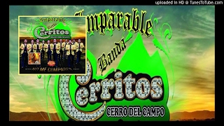 NO ME COMPARES ¡¡¡ESTRENO — LA IMPARABLE BANDA CERRITOS 2017 [upl. by Eiboj760]