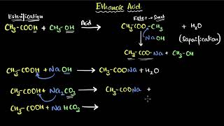 Properties of ethanoic acid  Carbon and its compounds  Class 10 Chemistry  Khan Academy [upl. by Mehelhteb237]